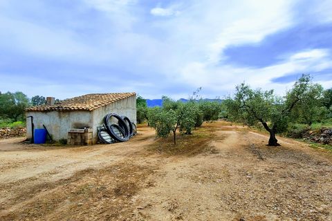 Finca i Ginestar, Tarragona, Ginestar - € 36.000 | Ref: CC827 - foto 2